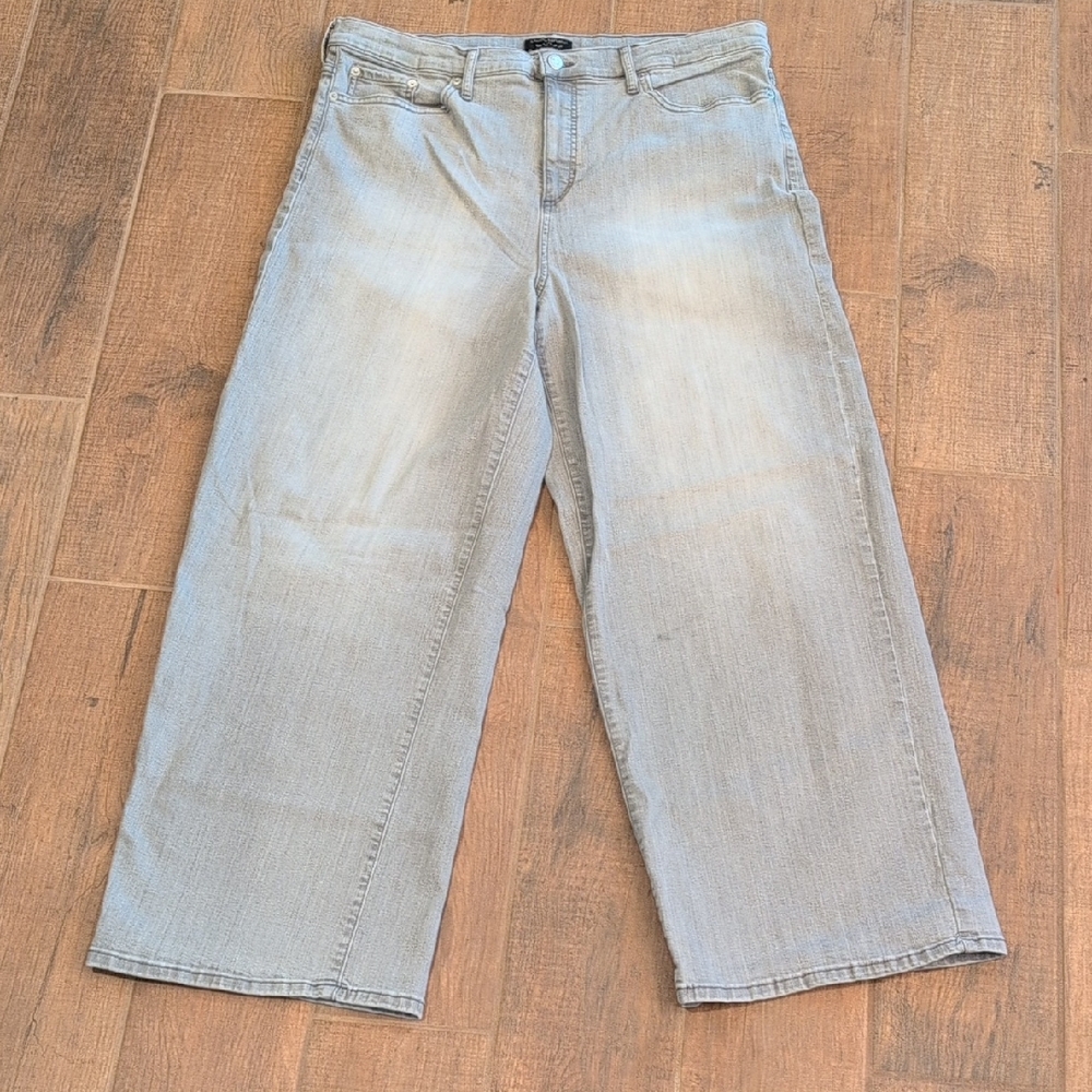 VGUC Banana Republic High Rise Wide Leg Jean Light Gray Size 34 / 18